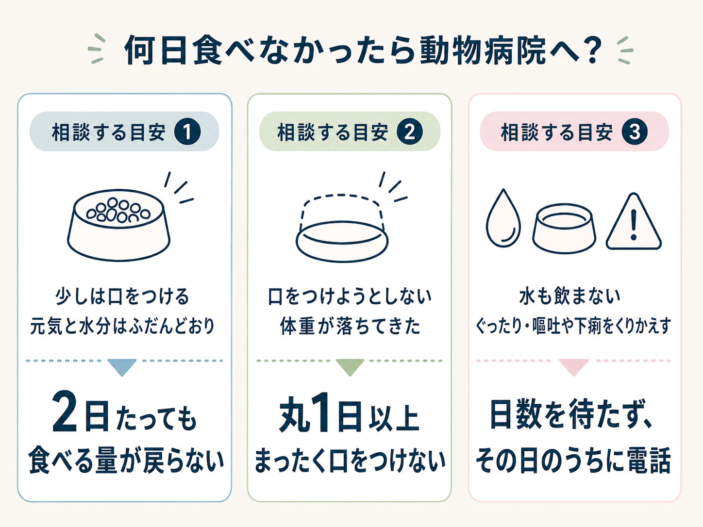 何日食べなかったら動物病院へ？受診の目安