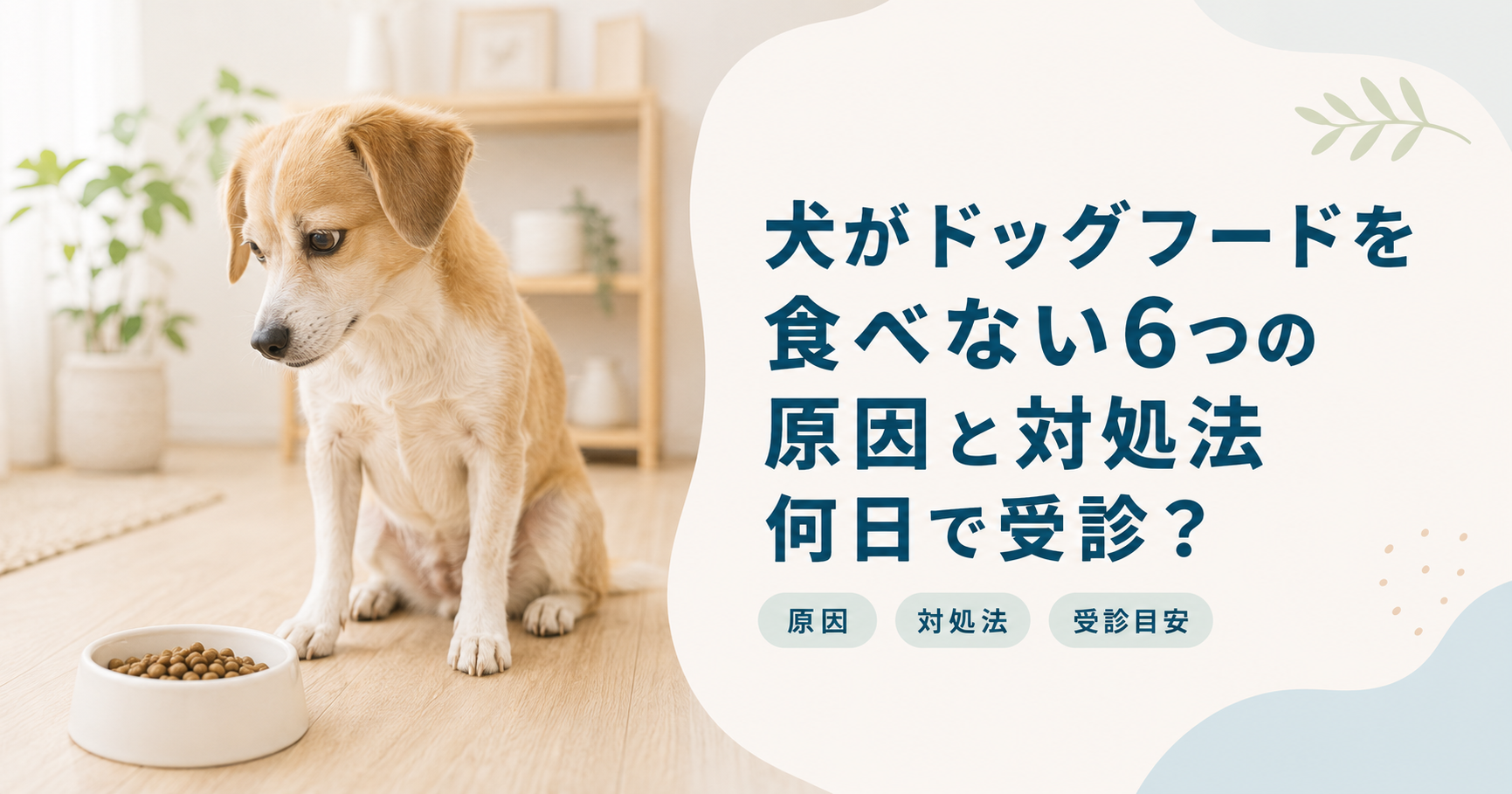 犬がドッグフードを食べない6つの原因と対処法｜何日で受診？