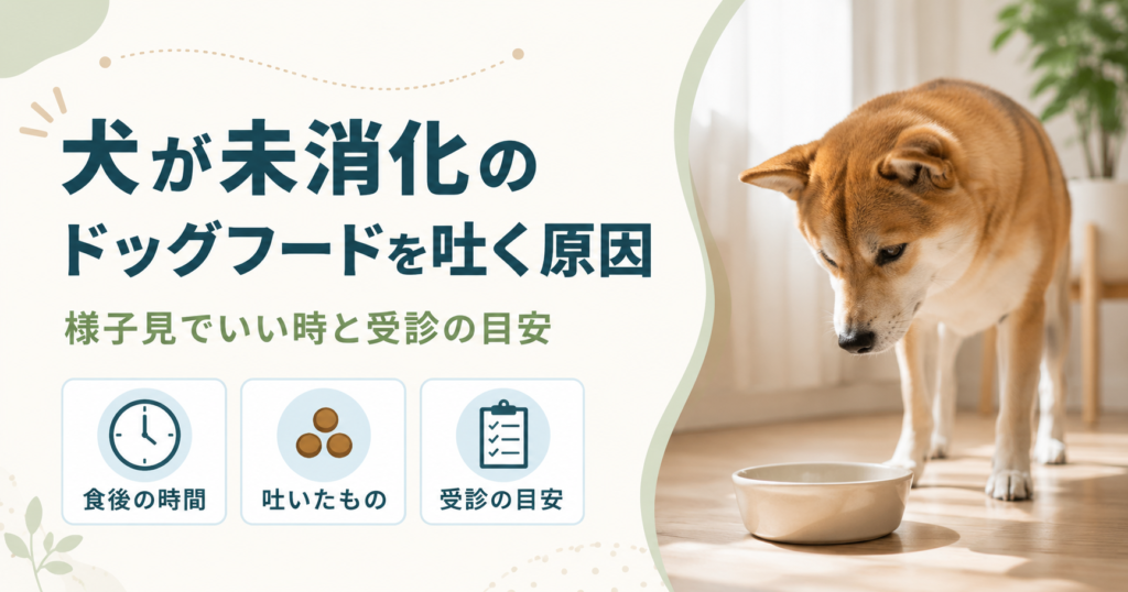 犬が未消化のドッグフードを吐く原因｜様子見でいい時と受診の目安