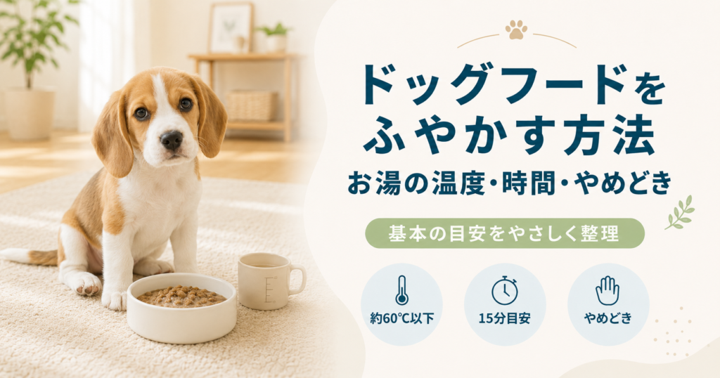 ドッグフードをふやかす方法｜お湯の温度・時間・やめどき