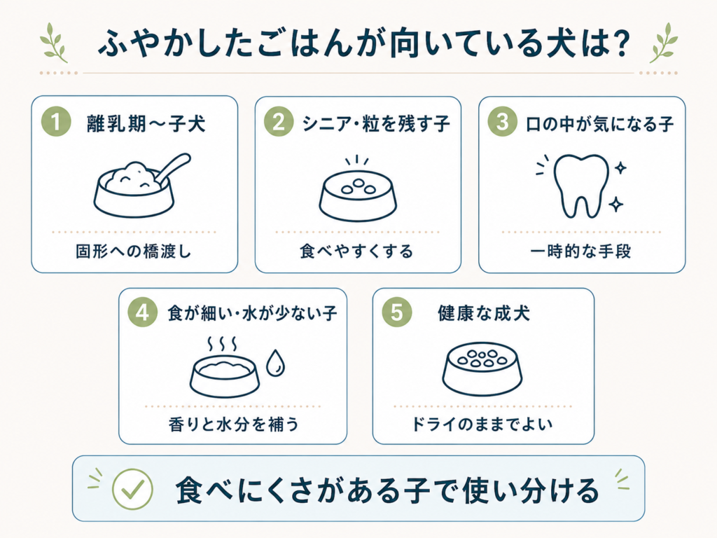 ふやかしたごはんが向いている犬・そうでない犬