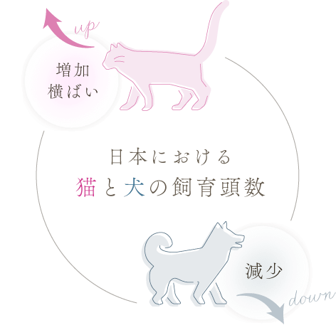 日本における猫と犬の飼育頭数は、猫は増加・横ばい傾向、犬は減少傾向にあります。